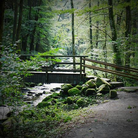 Fewo Kedo Neukirchen vorm Wald Bagian luar foto