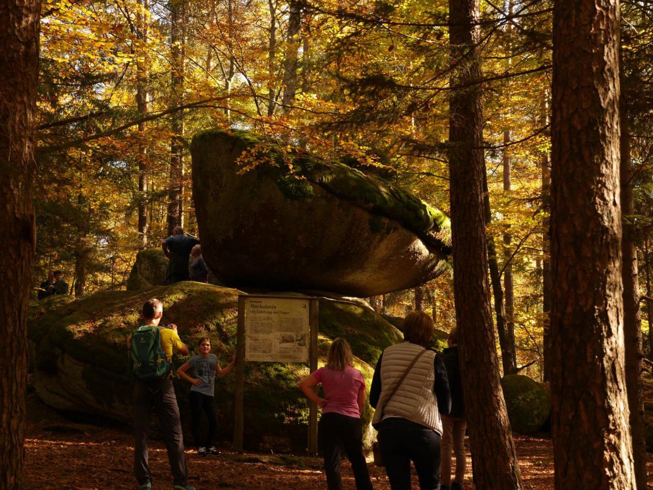 Fewo Kedo Neukirchen vorm Wald Bagian luar foto