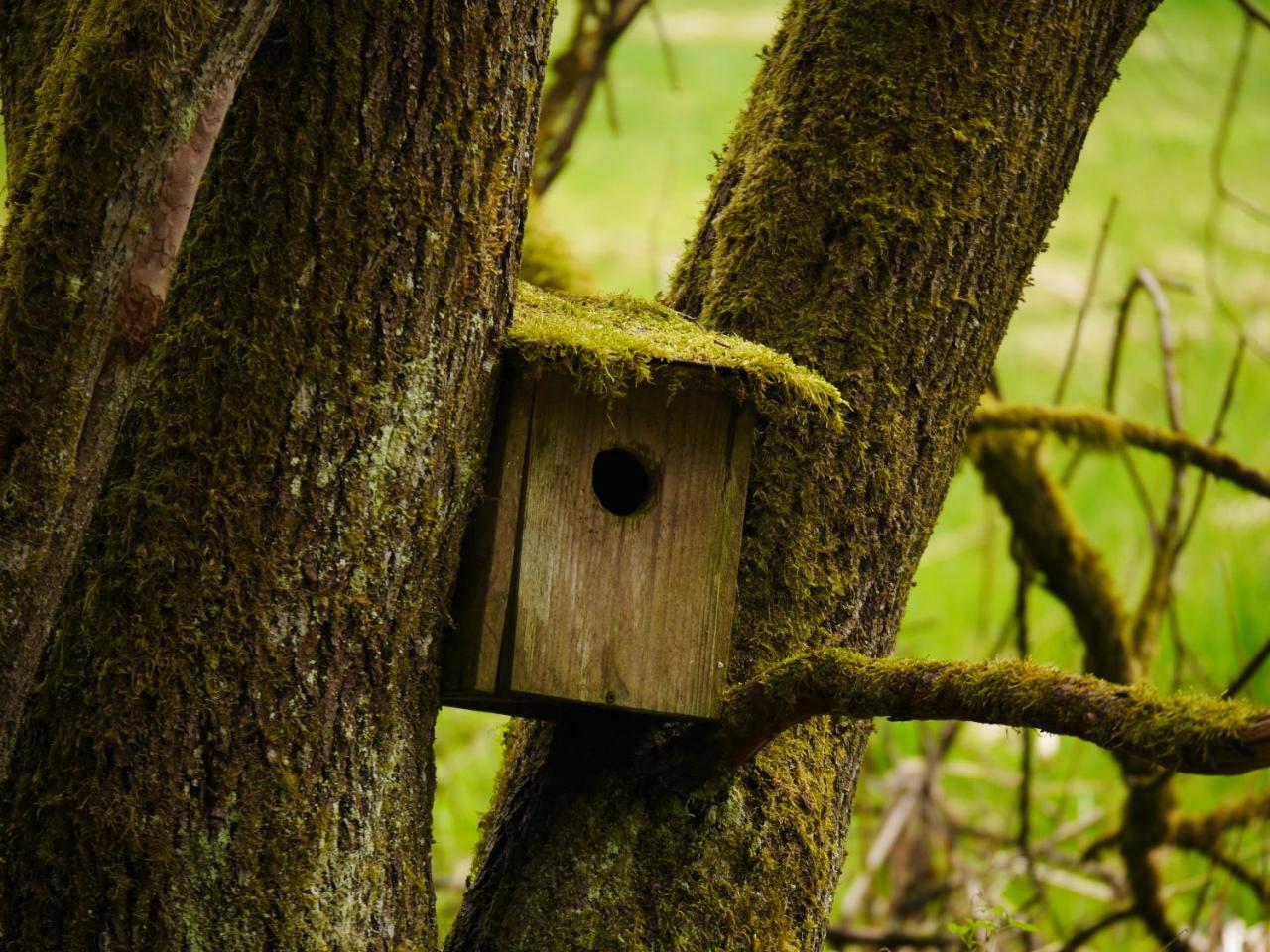 Fewo Kedo Neukirchen vorm Wald Bagian luar foto