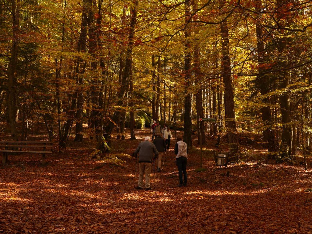 Fewo Kedo Neukirchen vorm Wald Bagian luar foto