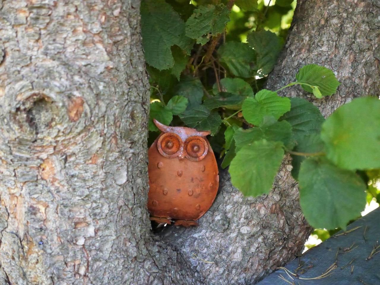 Fewo Kedo Neukirchen vorm Wald Bagian luar foto